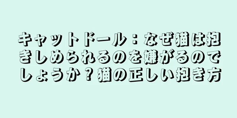 キャットドール：なぜ猫は抱きしめられるのを嫌がるのでしょうか？猫の正しい抱き方