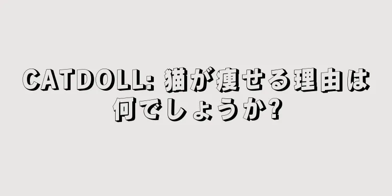 CATDOLL: 猫が痩せる理由は何でしょうか?