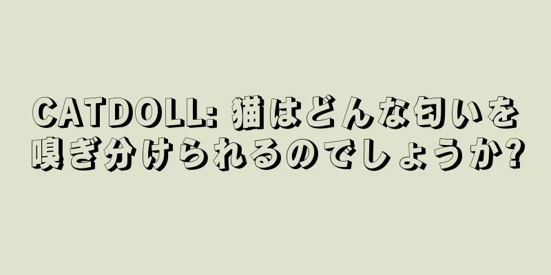 CATDOLL: 猫はどんな匂いを嗅ぎ分けられるのでしょうか?