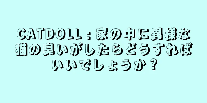 CATDOLL : 家の中に異様な猫の臭いがしたらどうすればいいでしょうか？