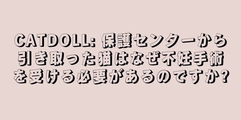 CATDOLL: 保護センターから引き取った猫はなぜ不妊手術を受ける必要があるのですか?