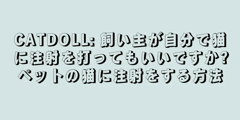 CATDOLL: 飼い主が自分で猫に注射を打ってもいいですか?ペットの猫に注射をする方法