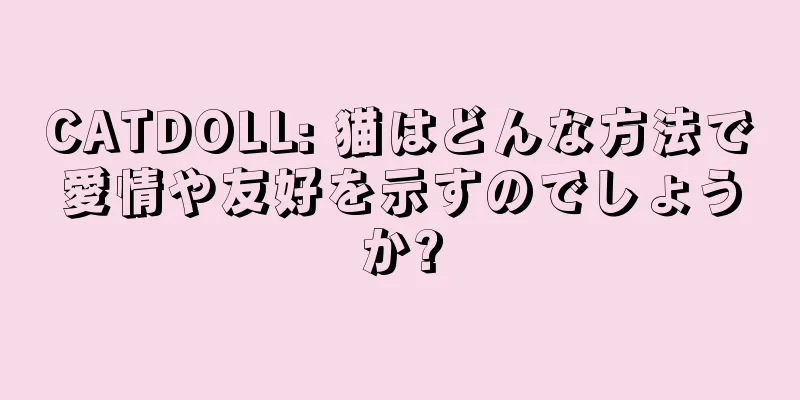 CATDOLL: 猫はどんな方法で愛情や友好を示すのでしょうか?