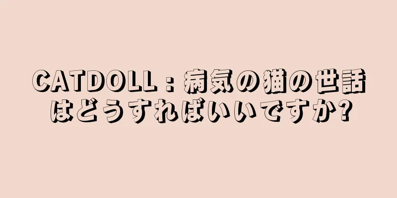 CATDOLL : 病気の猫の世話はどうすればいいですか?