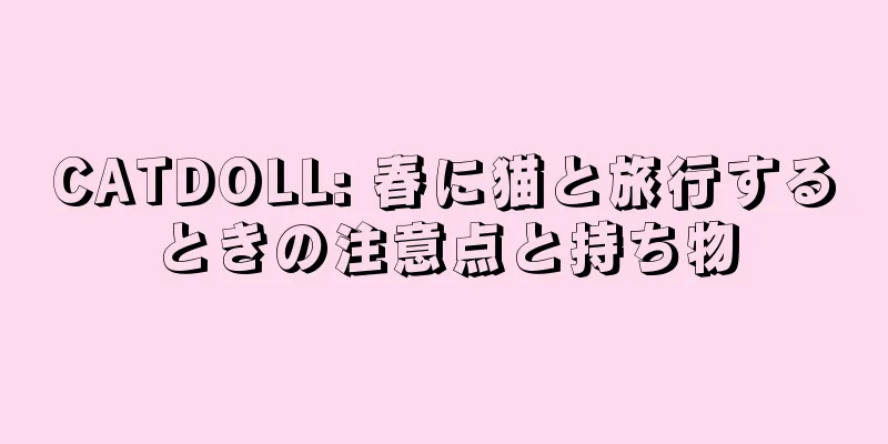 CATDOLL: 春に猫と旅行するときの注意点と持ち物