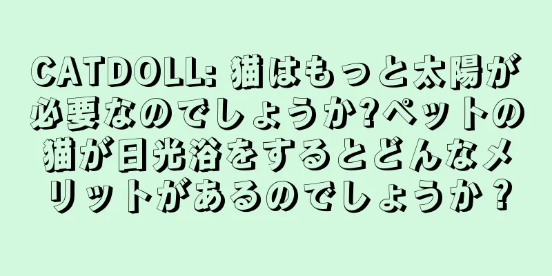 CATDOLL: 猫はもっと太陽が必要なのでしょうか?ペットの猫が日光浴をするとどんなメリットがあるのでしょうか？