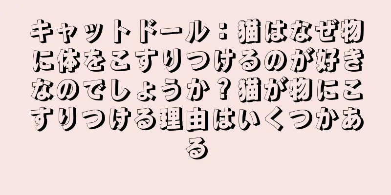キャットドール：猫はなぜ物に体をこすりつけるのが好きなのでしょうか？猫が物にこすりつける理由はいくつかある