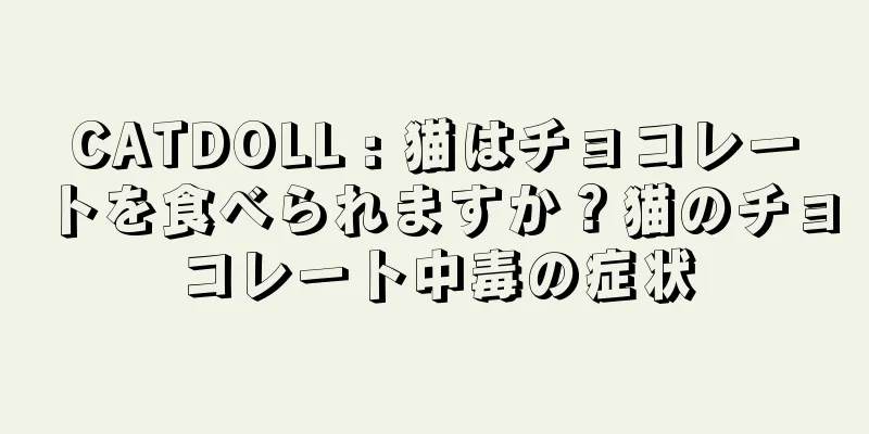 CATDOLL : 猫はチョコレートを食べられますか？猫のチョコレート中毒の症状