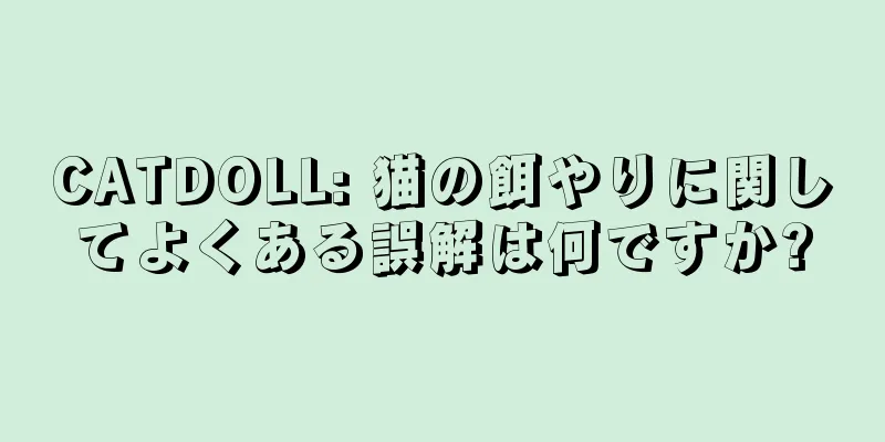 CATDOLL: 猫の餌やりに関してよくある誤解は何ですか?