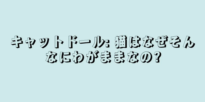 キャットドール: 猫はなぜそんなにわがままなの?
