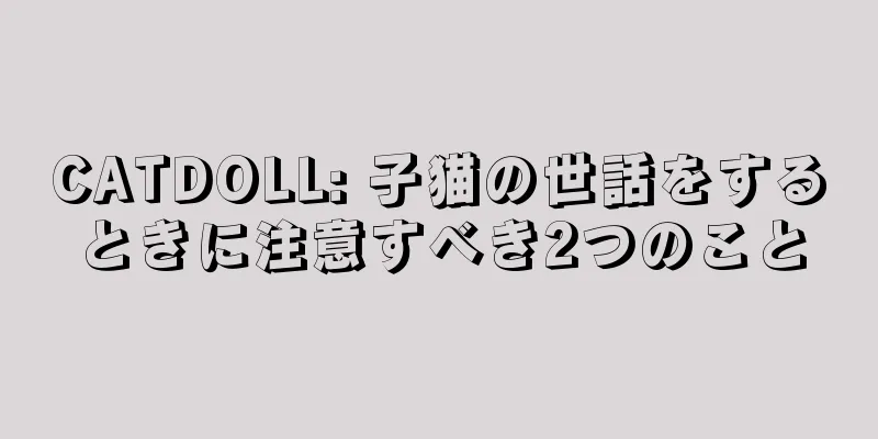 CATDOLL: 子猫の世話をするときに注意すべき2つのこと