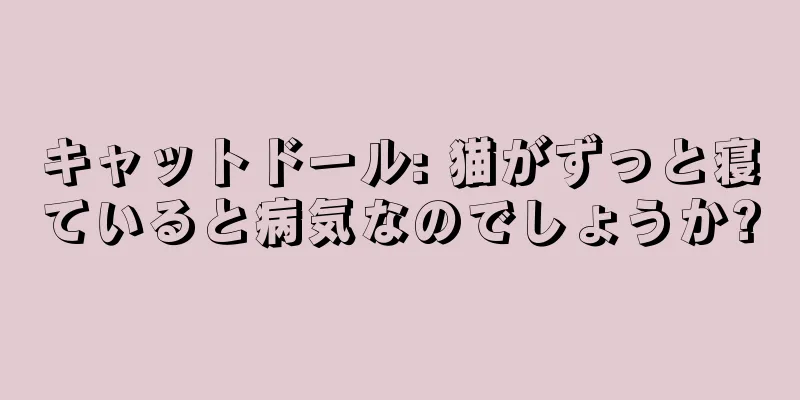 キャットドール: 猫がずっと寝ていると病気なのでしょうか?