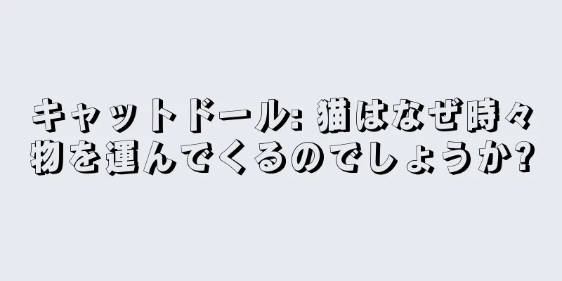 キャットドール: 猫はなぜ時々物を運んでくるのでしょうか?