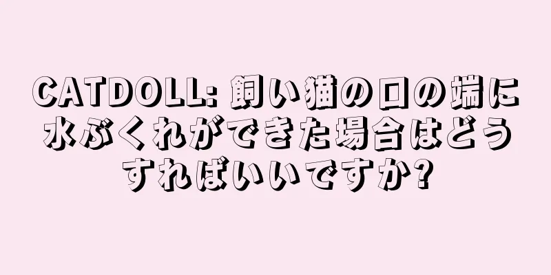 CATDOLL: 飼い猫の口の端に水ぶくれができた場合はどうすればいいですか?