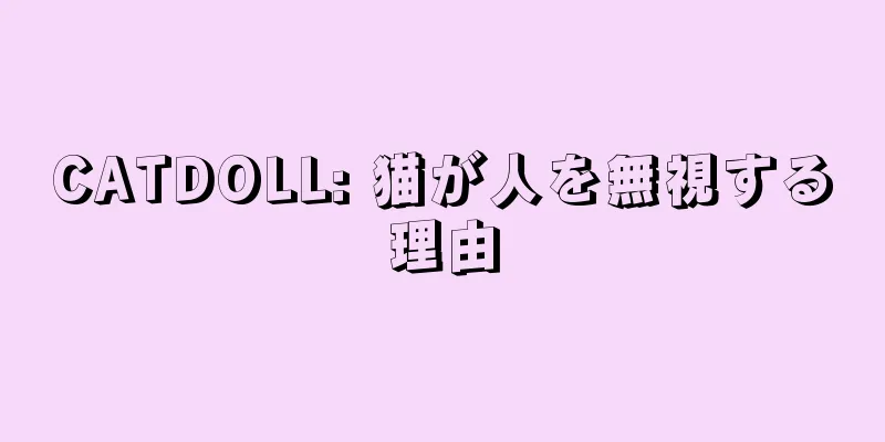 CATDOLL: 猫が人を無視する理由
