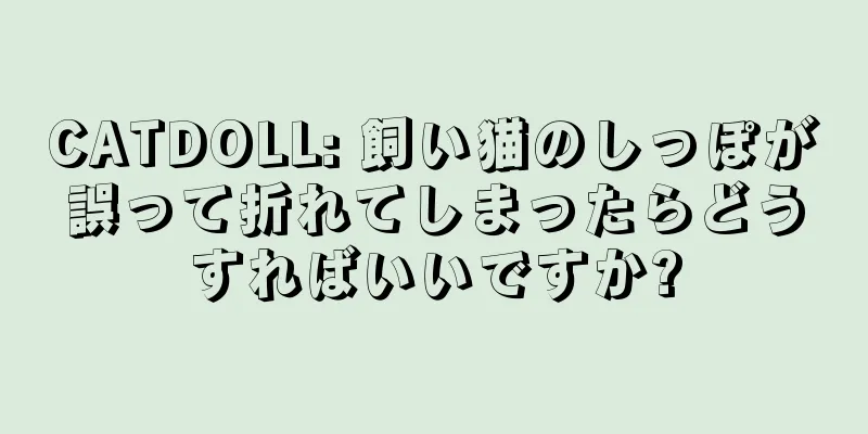 CATDOLL: 飼い猫のしっぽが誤って折れてしまったらどうすればいいですか?