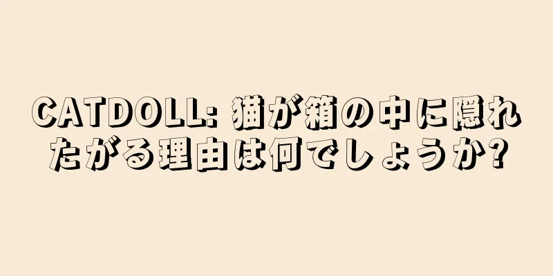 CATDOLL: 猫が箱の中に隠れたがる理由は何でしょうか?