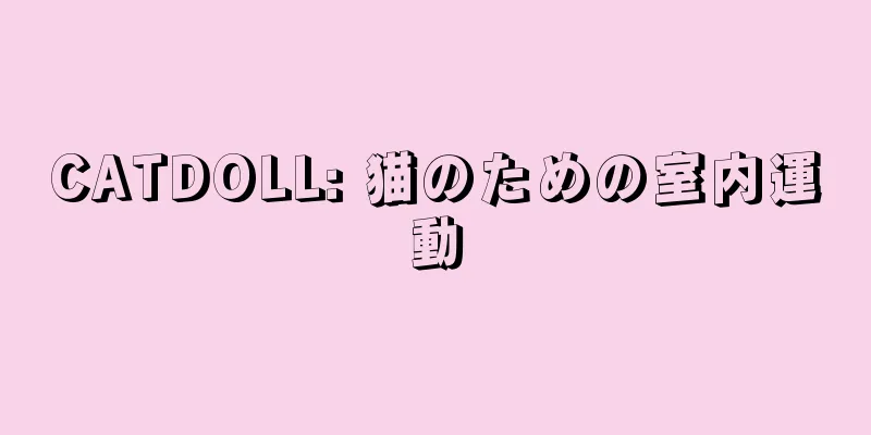 CATDOLL: 猫のための室内運動