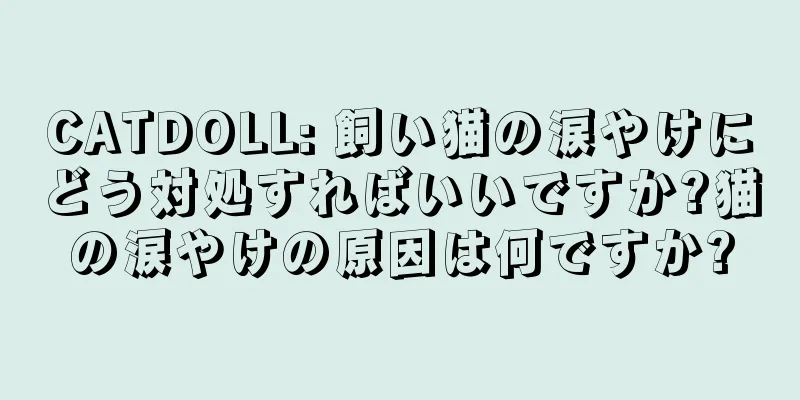 CATDOLL: 飼い猫の涙やけにどう対処すればいいですか?猫の涙やけの原因は何ですか?