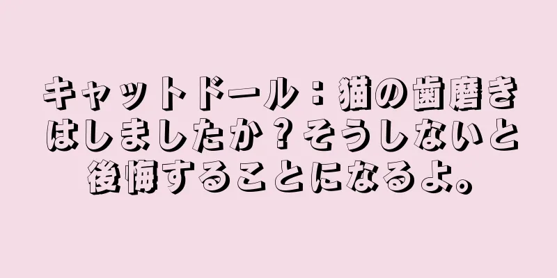 キャットドール：猫の歯磨きはしましたか？そうしないと後悔することになるよ。