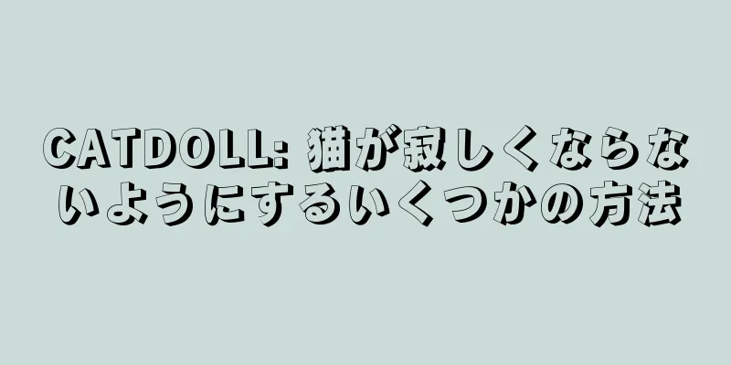 CATDOLL: 猫が寂しくならないようにするいくつかの方法