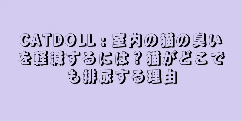 CATDOLL : 室内の猫の臭いを軽減するには？猫がどこでも排尿する理由