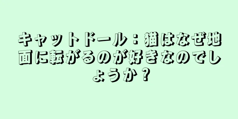 キャットドール：猫はなぜ地面に転がるのが好きなのでしょうか？