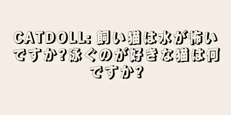 CATDOLL: 飼い猫は水が怖いですか?泳ぐのが好きな猫は何ですか?