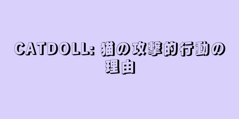 CATDOLL: 猫の攻撃的行動の理由