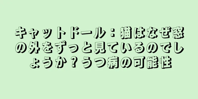 キャットドール：猫はなぜ窓の外をずっと見ているのでしょうか？うつ病の可能性