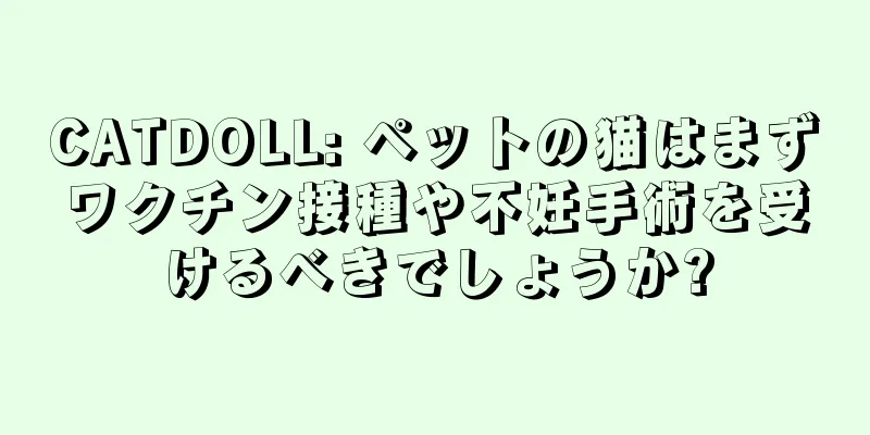 CATDOLL: ペットの猫はまずワクチン接種や不妊手術を受けるべきでしょうか?