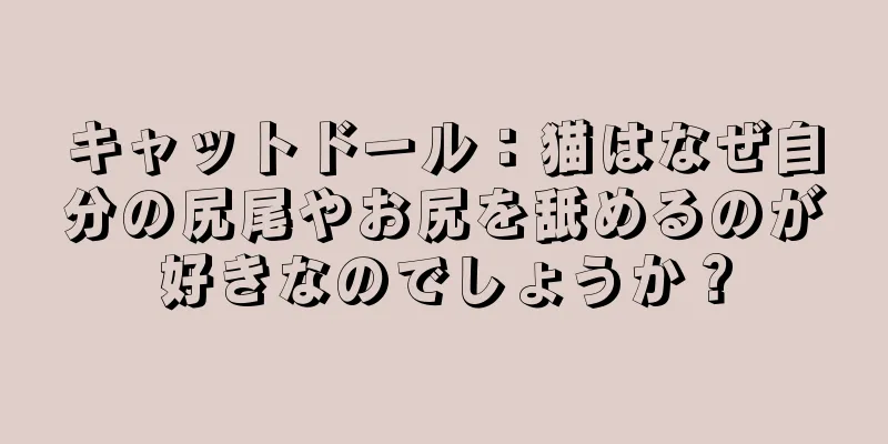 キャットドール：猫はなぜ自分の尻尾やお尻を舐めるのが好きなのでしょうか？