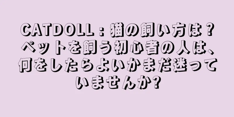 CATDOLL : 猫の飼い方は？ペットを飼う初心者の人は、何をしたらよいかまだ迷っていませんか?