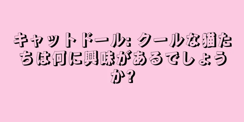 キャットドール: クールな猫たちは何に興味があるでしょうか?