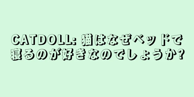 CATDOLL: 猫はなぜベッドで寝るのが好きなのでしょうか?