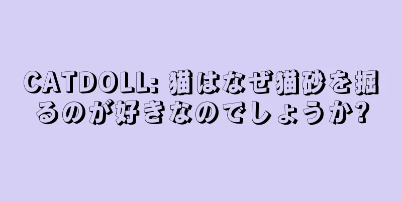 CATDOLL: 猫はなぜ猫砂を掘るのが好きなのでしょうか?