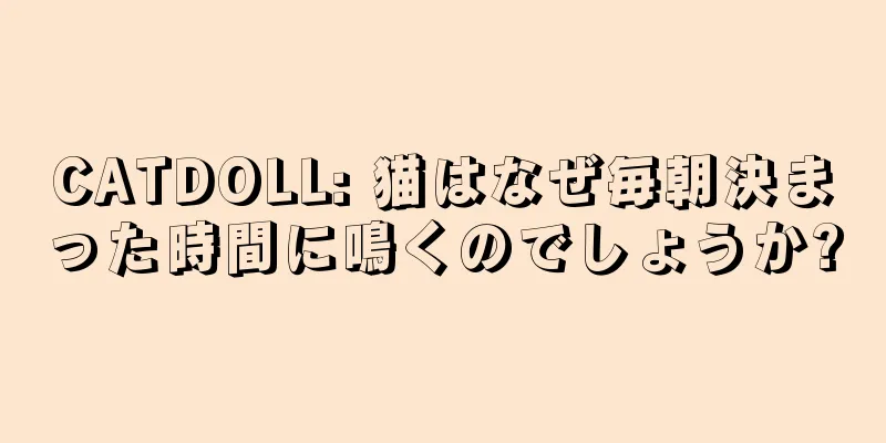 CATDOLL: 猫はなぜ毎朝決まった時間に鳴くのでしょうか?