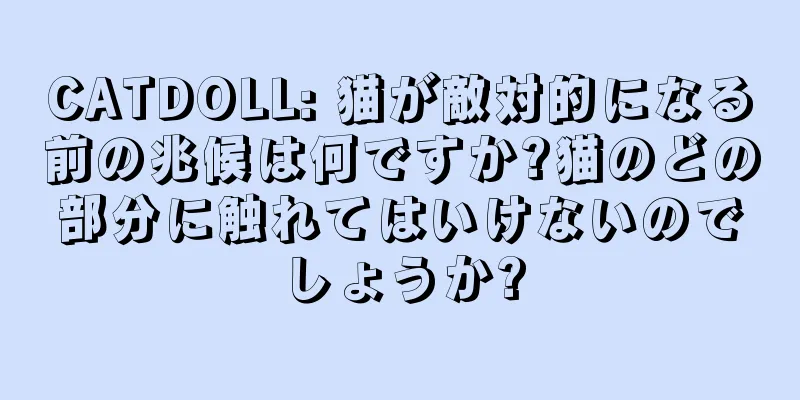 CATDOLL: 猫が敵対的になる前の兆候は何ですか?猫のどの部分に触れてはいけないのでしょうか?