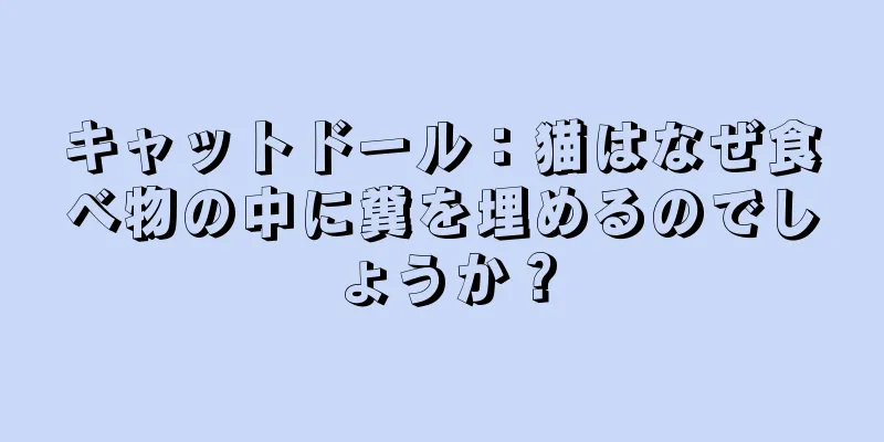 キャットドール：猫はなぜ食べ物の中に糞を埋めるのでしょうか？