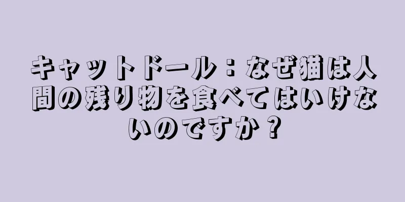 キャットドール：なぜ猫は人間の残り物を食べてはいけないのですか？
