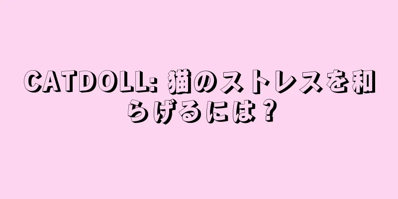 CATDOLL: 猫のストレスを和らげるには？