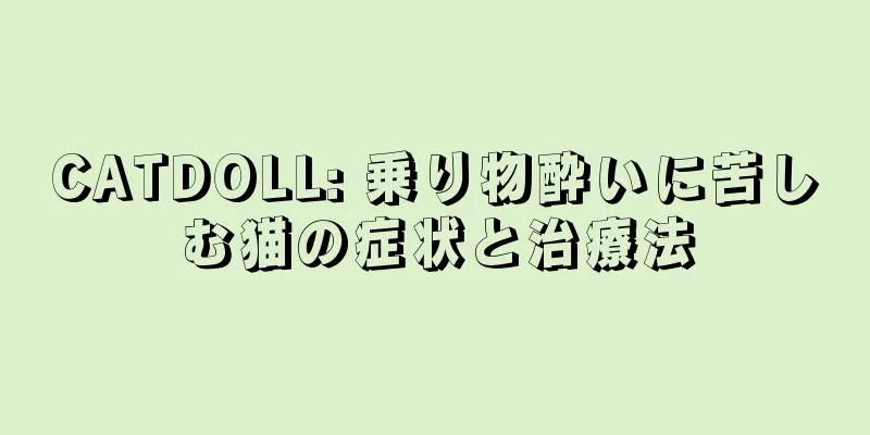 CATDOLL: 乗り物酔いに苦しむ猫の症状と治療法
