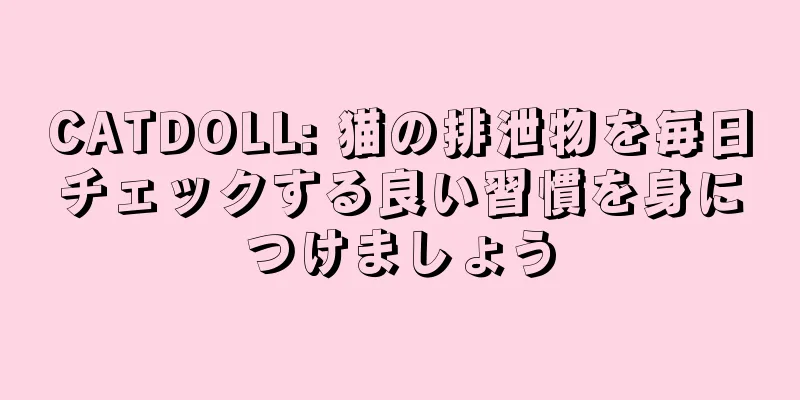 CATDOLL: 猫の排泄物を毎日チェックする良い習慣を身につけましょう