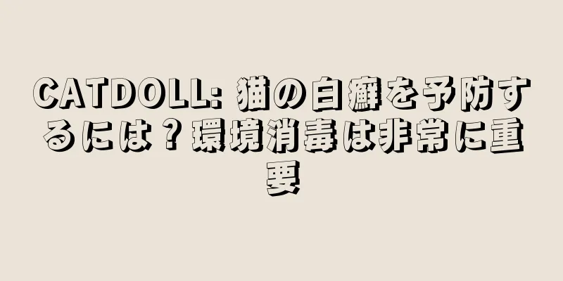 CATDOLL: 猫の白癬を予防するには？環境消毒は非常に重要