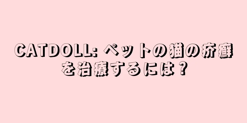 CATDOLL: ペットの猫の疥癬を治療するには？