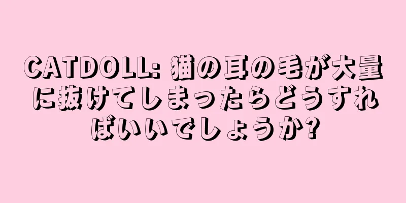 CATDOLL: 猫の耳の毛が大量に抜けてしまったらどうすればいいでしょうか?