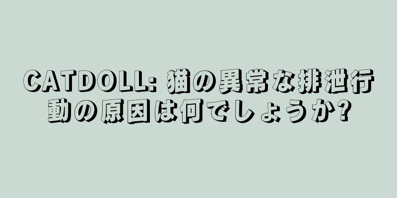 CATDOLL: 猫の異常な排泄行動の原因は何でしょうか?