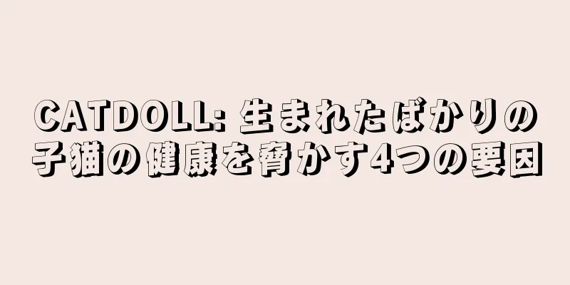 CATDOLL: 生まれたばかりの子猫の健康を脅かす4つの要因