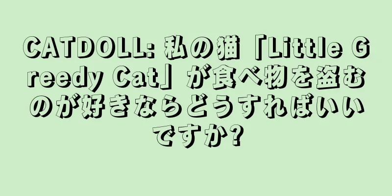 CATDOLL: 私の猫「Little Greedy Cat」が食べ物を盗むのが好きならどうすればいいですか?