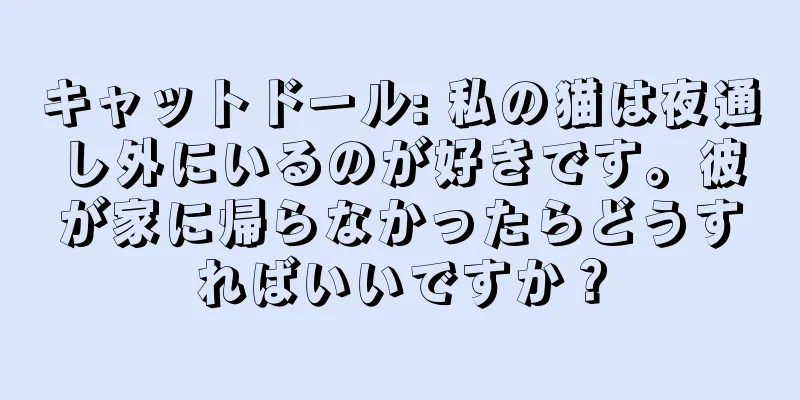 キャットドール: 私の猫は夜通し外にいるのが好きです。彼が家に帰らなかったらどうすればいいですか？